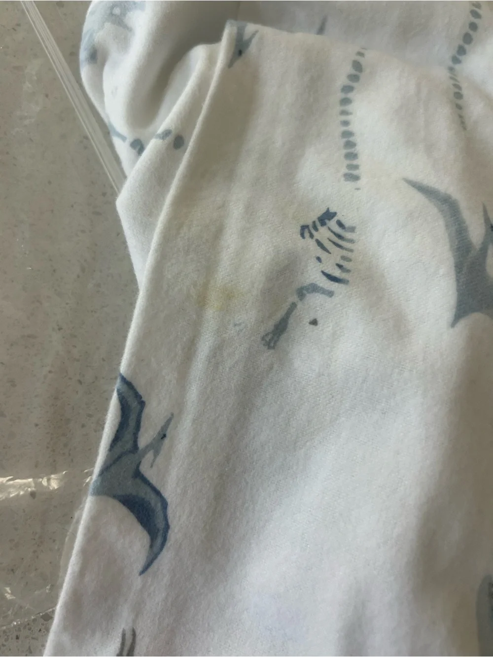 Pottery Barn Dino Bone Dinosaur Flannel Pillowcase Standard